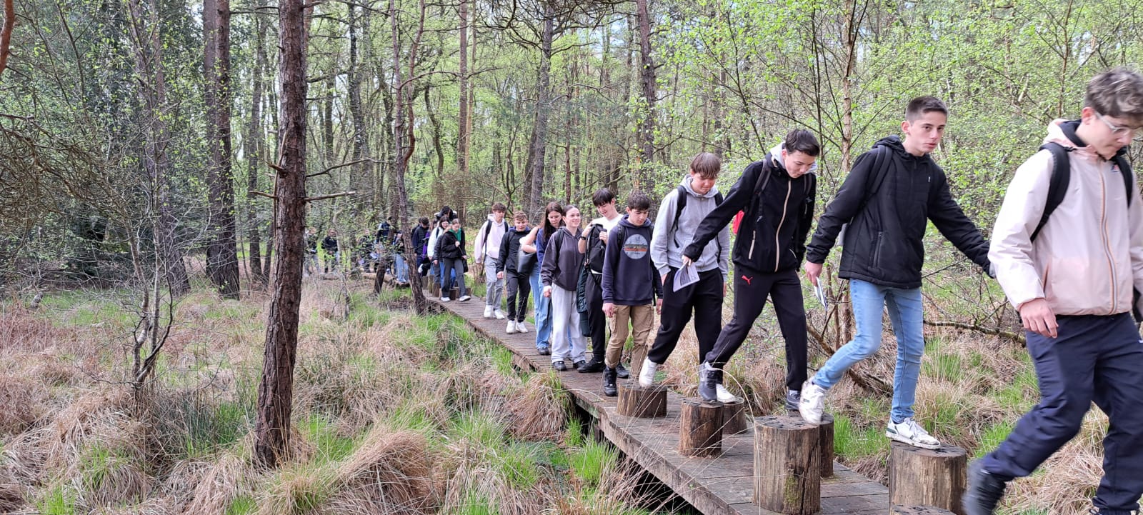 Les élèves du lycée Abbé Pierre à Tinténiac (35) parcourant le sentier ludique ponctué de pontons et rondins de bois autour de l’étang de Paimpont.